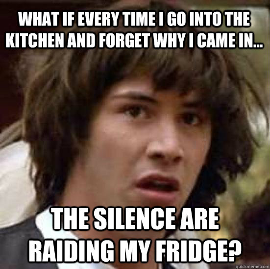 what if Every time i go into the kitchen and forget why i came in... the silence are raiding my fridge?  conspiracy keanu