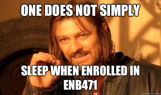 One Does Not Simply Sleep when enrolled in ENB471  Boromir