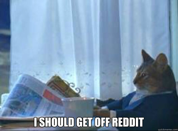 i should get off Reddit   I should buy a boat cat