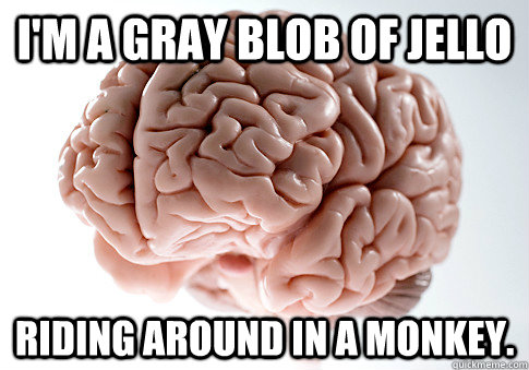 I'm a gray blob of jello Riding around in a monkey. - I'm a gray blob of jello Riding around in a monkey.  Scumbag Brain