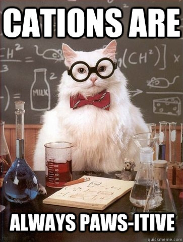 Cations are always paws-itive - Cations are always paws-itive  Chemistry Cat