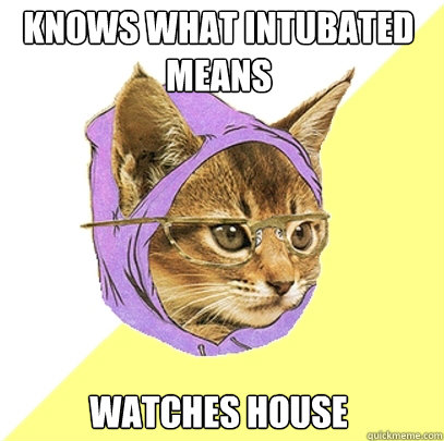 knows what intubated means watches house - knows what intubated means watches house  Hipster Kitty