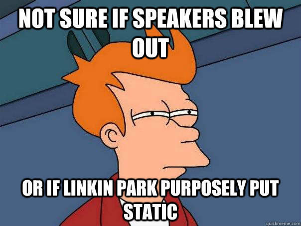 Not sure if speakers blew out Or if linkin park purposely put static   Futurama Fry