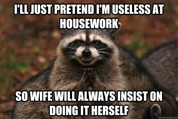 i'll just pretend i'm useless at housework so wife will always insist on doing it herself  Evil Plotting Raccoon