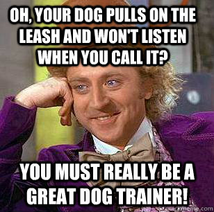 Oh, your dog pulls on the leash and won't listen when you call it? You must really be a great dog trainer! - Oh, your dog pulls on the leash and won't listen when you call it? You must really be a great dog trainer!  Condescending Wonka