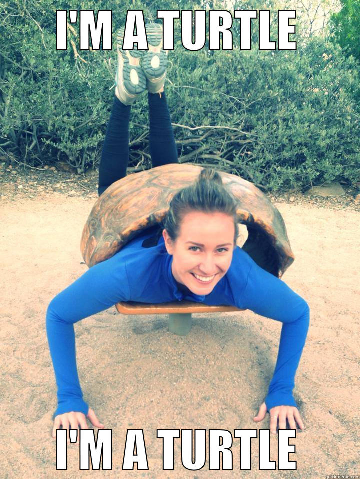 I'M A TURTLE I'M A TURTLE Misc