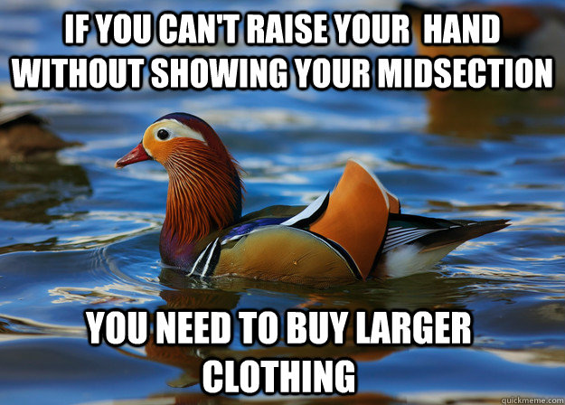 If you can't raise your  hand without showing your midsection You need to buy larger clothing  Fashion Advice Mallard