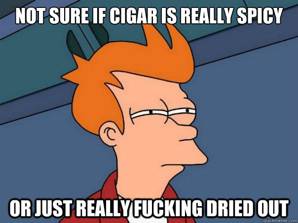 Not sure if cigar is really spicy Or just really fucking dried out  Futurama Fry