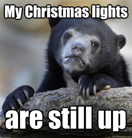 My Christmas lights are still up - My Christmas lights are still up  Confession Bear