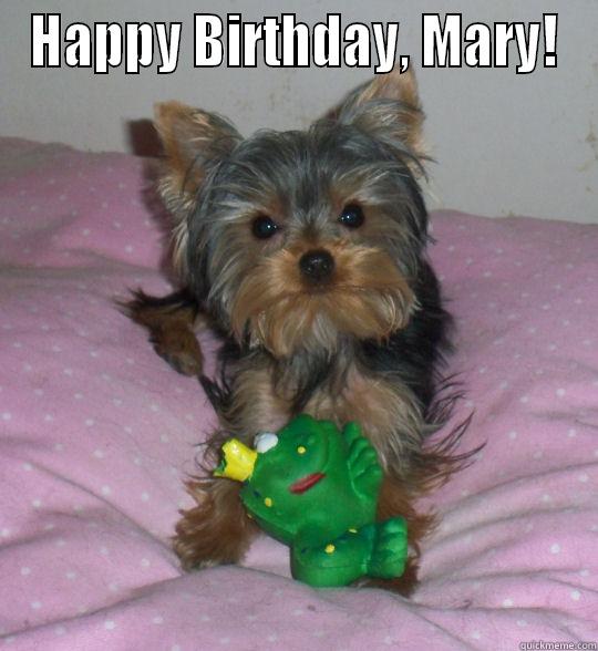 Yogi the Yorkie - HAPPY BIRTHDAY, MARY!  Misc