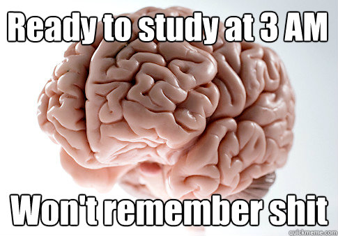 Ready to study at 3 AM Won't remember shit  Scumbag Brain