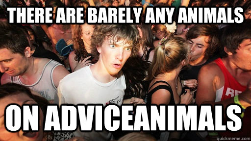 TherE are barely any animAls on AdVicEAniMals  Sudden Clarity Clarence