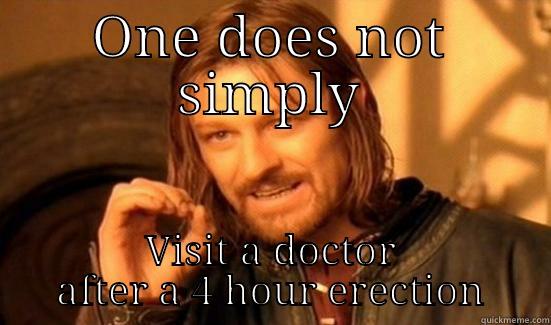 ONE DOES NOT SIMPLY VISIT A DOCTOR AFTER A 4 HOUR ERECTION Boromir