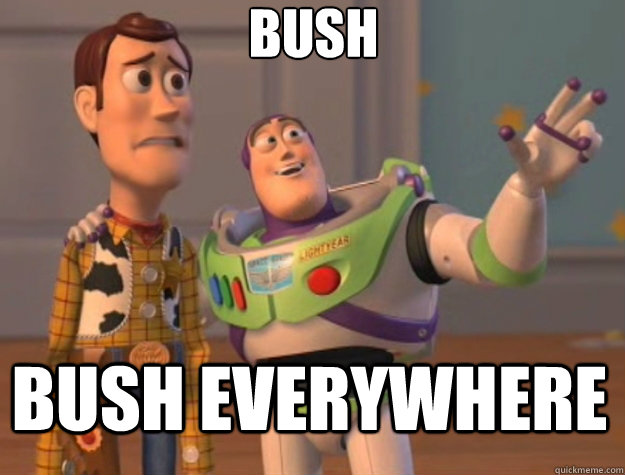 Bush Bush Everywhere - Bush Bush Everywhere  Toy Story