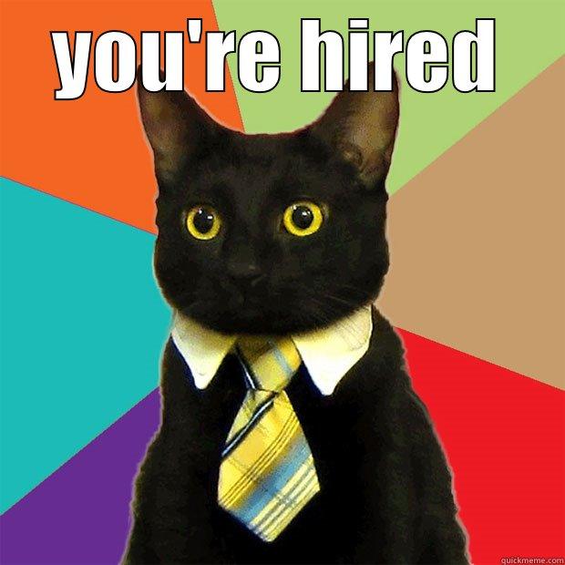 YOU'RE HIRED  Business Cat