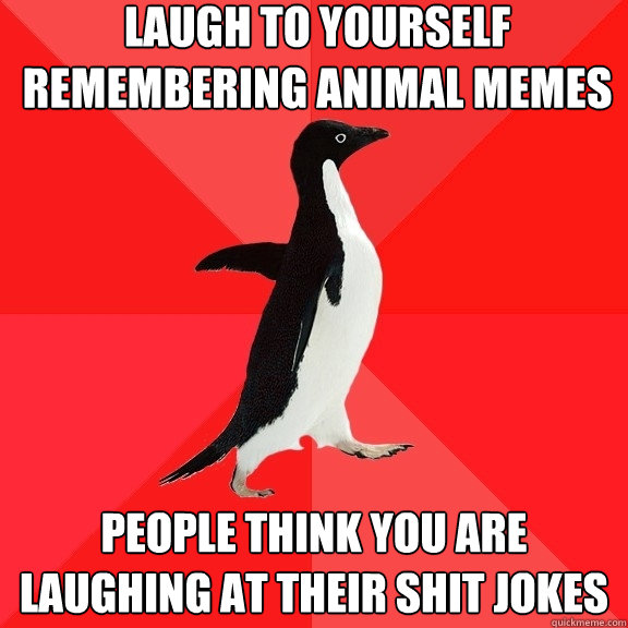 laugh to yourself remembering animal memes people think you are laughing at their shit jokes  Socially Awesome Penguin