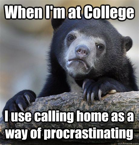 When I'm at College I use calling home as a way of procrastinating  Confession Bear