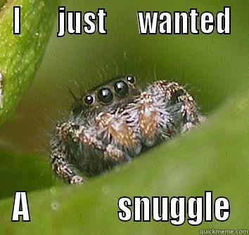 I       JUST      WANTED A               SNUGGLE Misunderstood Spider