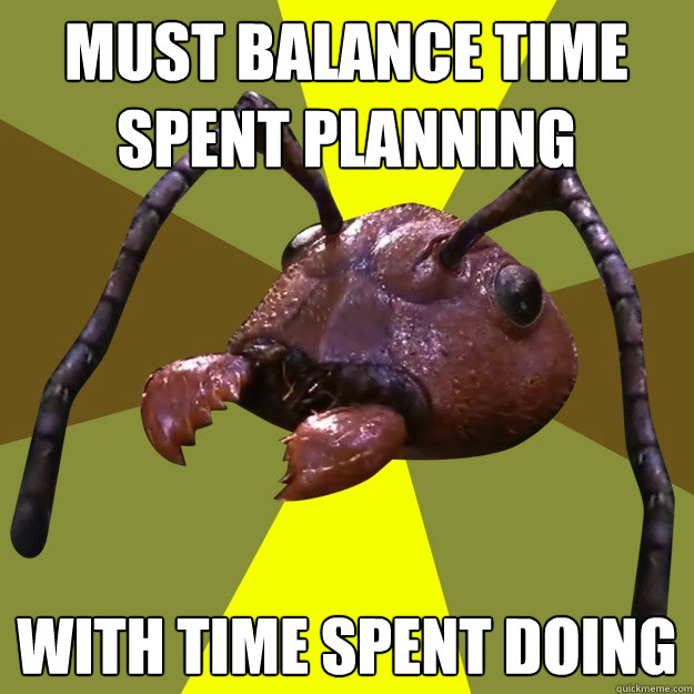 Must balance time spent planning With time spent doing  over-efficient ant