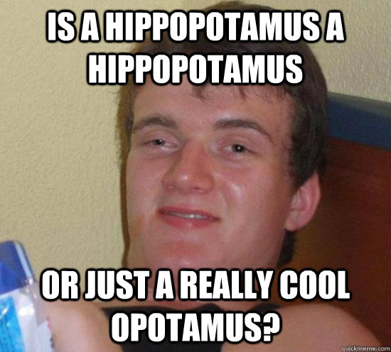 Is a hippopotamus a hippopotamus or just a really cool opotamus?  Really High Guy