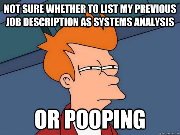 not sure whether to list my previous job description as systems analysis or pooping  Futurama Fry