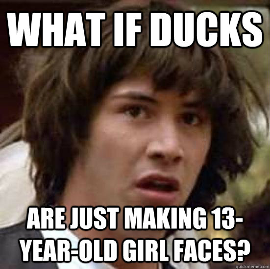 what if ducks are just making 13-year-old girl faces?  conspiracy keanu