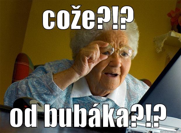 COŽE?!? OD BUBÁKA?!? Grandma finds the Internet