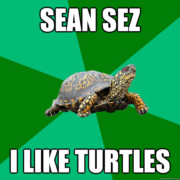 SEAN SEZ I LIKE TURTLES  - SEAN SEZ I LIKE TURTLES   Torrenting Turtle