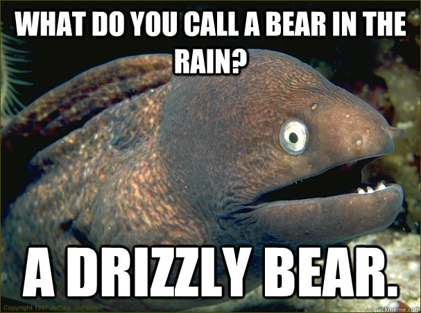 What do you call a bear in the rain? A drizzly bear.  Bad Joke Eel