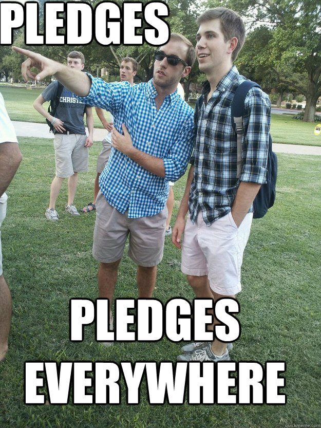 Pledges Pledges Everywhere - Pledges Pledges Everywhere  Misc