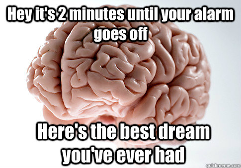 Hey it's 2 minutes until your alarm goes off Here's the best dream you've ever had  Scumbag Brain