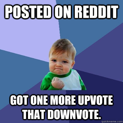 Posted on reddit Got one more upvote that downvote.  Success Kid