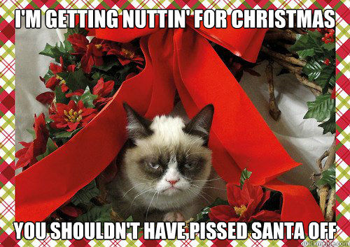 I'm getting nuttin' for Christmas you shouldn't have pissed Santa off   A Grumpy Cat Christmas