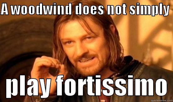 A WOODWIND DOES NOT SIMPLY    PLAY FORTISSIMO Boromir