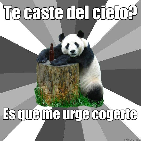 Te caíste del cielo? Es que me urge cogerte  Pickup-Line Panda