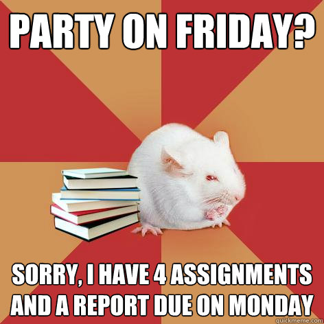 party on friday? sorry, i have 4 assignments and a report due on monday - party on friday? sorry, i have 4 assignments and a report due on monday  Science Major Mouse