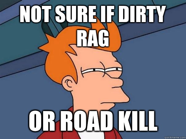 Not sure if dirty rag Or road kill  Futurama Fry