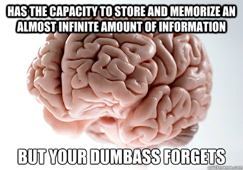 HAS THE CAPACITY TO STORE AND MEMORIZE AN ALMOST INFINITE AMOUNT OF INFORMATION BUT YOUR DUMBASS FORGETS   Scumbag Brain