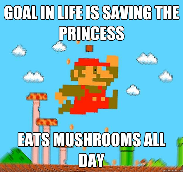 goal in life is saving the princess eats mushrooms all day  