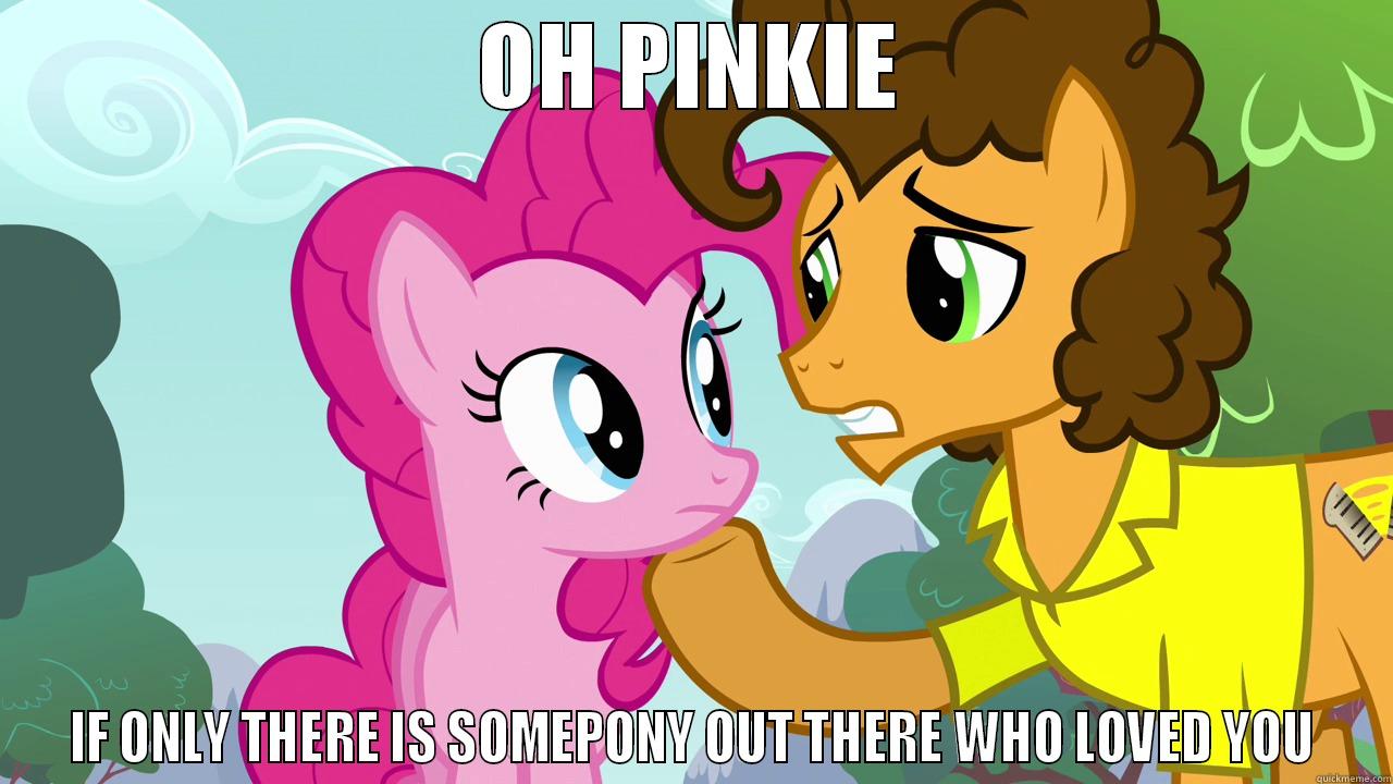 Oh Pinkie... - OH PINKIE IF ONLY THERE IS SOMEPONY OUT THERE WHO LOVED YOU Misc