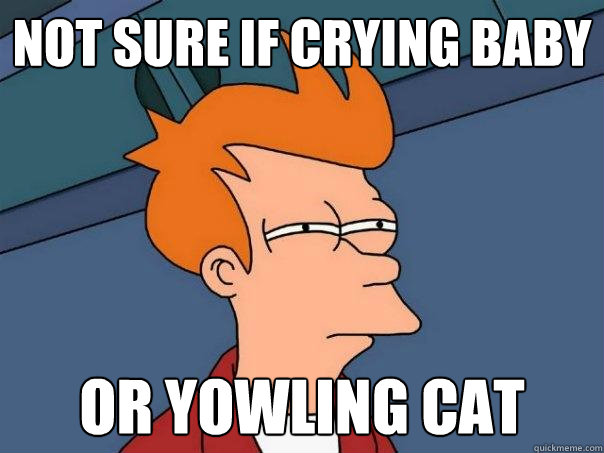 not sure if crying baby or yowling cat  Futurama Fry