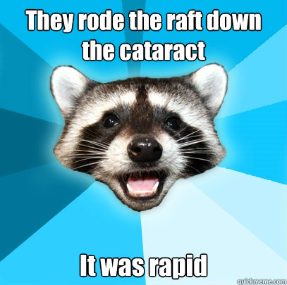 They rode the raft down the cataract It was rapid  Lame Pun Coon