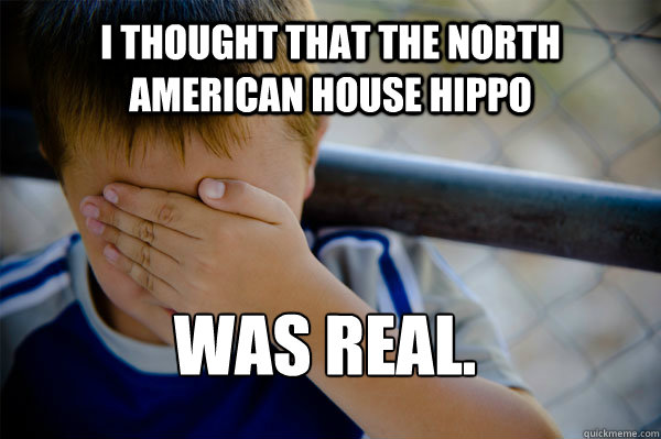 I thought that the north american house hippo  was real.  Confession kid