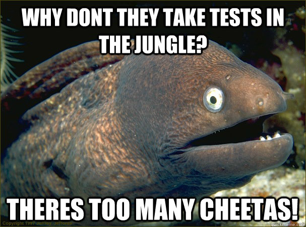 Why dont they take tests in the jungle? Theres too many cheetas! - Why dont they take tests in the jungle? Theres too many cheetas!  Bad Joke Eel