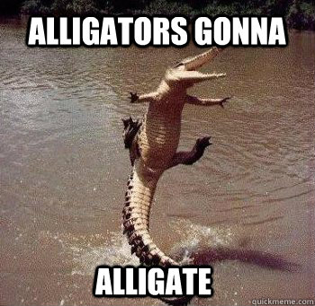 Alligators gonna Alligate - Alligators gonna Alligate  Haters gonna hate