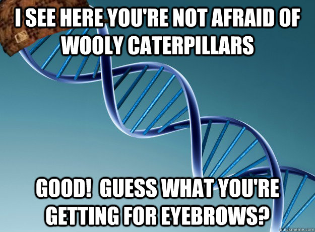 I see here you're not afraid of wooly caterpillars  good!  guess what you're getting for eyebrows?  Scumbag Genetics