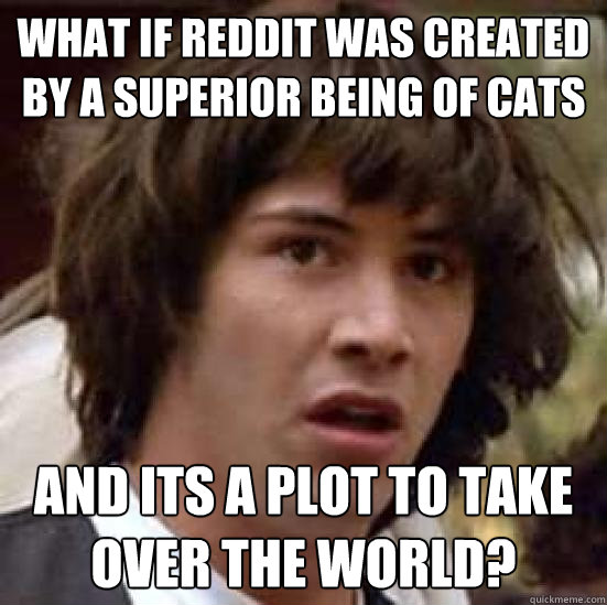 What if reddit was created by a superior being of cats  and its a plot to take over the world?  conspiracy keanu