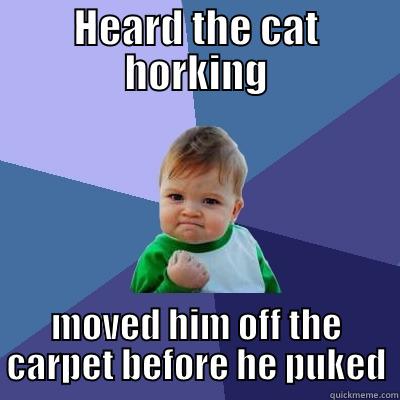 Heard that cat horking - HEARD THE CAT HORKING MOVED HIM OFF THE CARPET BEFORE HE PUKED Success Kid