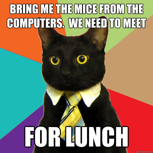 Bring me the mice from the computers.  We need to meet for lunch  Business Cat