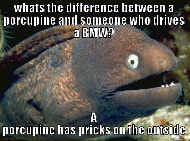 WHATS THE DIFFERENCE BETWEEN A PORCUPINE AND SOMEONE WHO DRIVES A BMW? A PORCUPINE HAS PRICKS ON THE OUTSIDE Bad Joke Eel